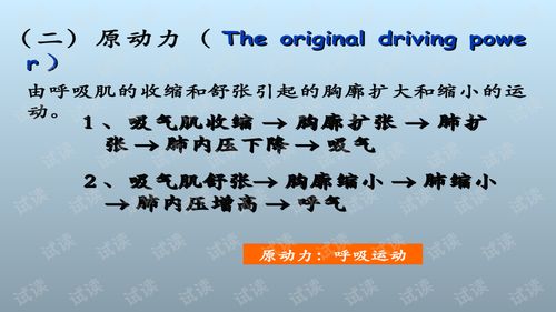 2. 调息与呼吸的生理状况学锚定