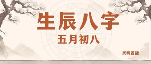 四、 命明白析——以1994年正月初四为参照案例