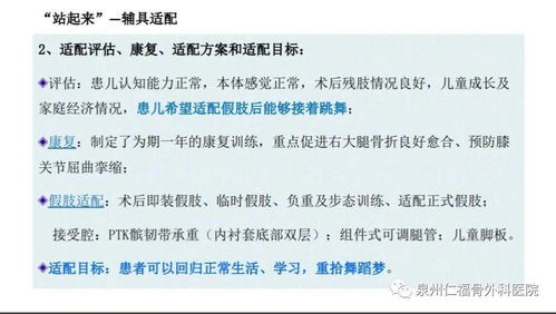 补充信息及相关案例