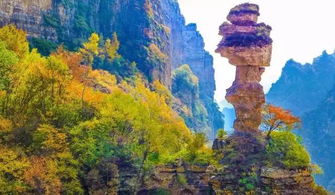 天啦噜！白石山门票居然有这种骚操作？看完我直接裂开了！