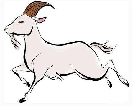 2026年属羊如何避开太岁影响及具体禁忌事项有哪些？