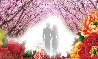 子时（23:00-01:00）：阴阳交替中的桃花与事业双旺格局