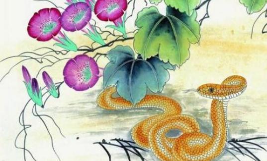 蛇猴属相是否相合，他们的财运会怎样呢？