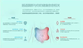 家里风水如何调整才能改善胃肺健康问题？