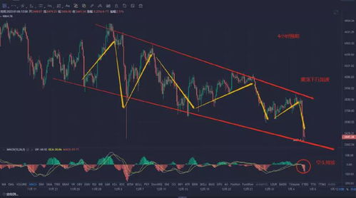 二、 “中合”概念的多维解读