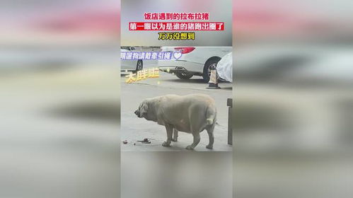第一眼情人攻略