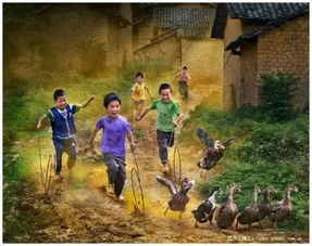 二、 风水学解读：家族运势与 sibling relationships