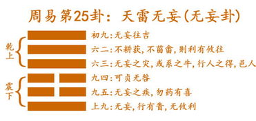 天雷无妄卦的卦象解析：乾震交错中的隐喻