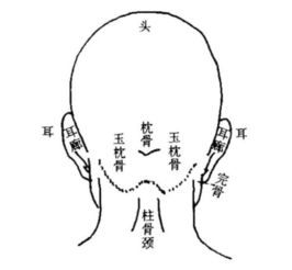 1.1 “反骨”在不同文化语境下的诠释