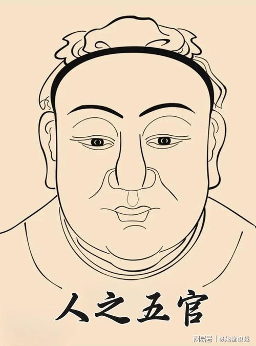 一、 大贵格之面相特征与社会象征