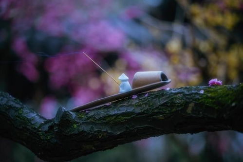 从自然景物中汲取灵感