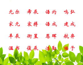 一、 生肖与风水：宝宝取名的关键依据