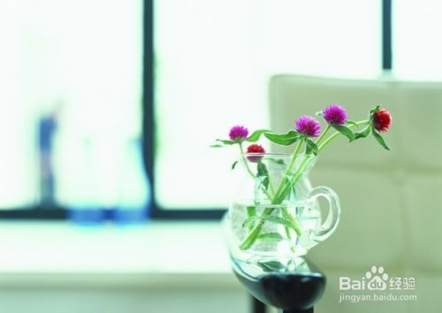 四、 鲜花生命状态对居住者心理暗示的影响