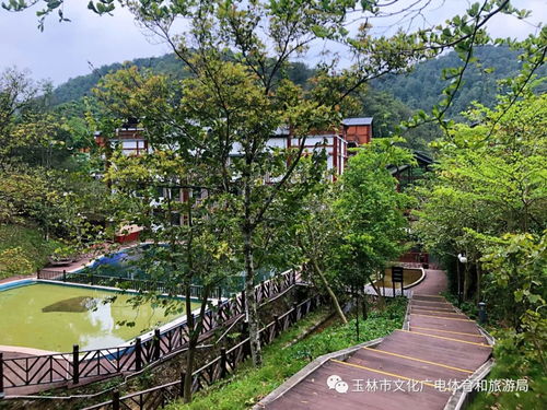 交通攻略：摩托车大军来袭（胆战心惊！）