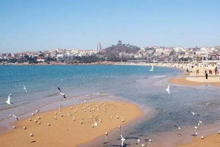 住的地方五花八门！从猪圈到皇宫都有！