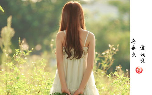 ：惯与个体吸引力与“可爱”特质的深度解析