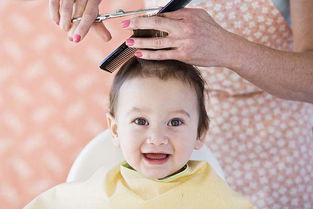 二、 天干地支对发型属性的对应关系