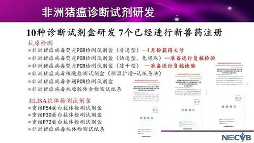 一、 金口诀起课方法的理论基础