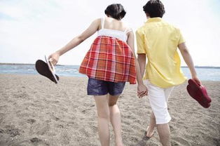 外部视角:专业人士对和合术的应用评价