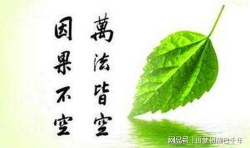 二、  风水国学视角下的网名选择：运势考量与谐音寓意