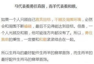 基于生肖属性的昵称示例分析