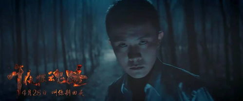 第一章：事件概述与初步分析