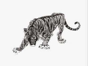 量力而行是什么生肖？打一生肖动物，为长尾：量力而行指的是哪种生肖动物？