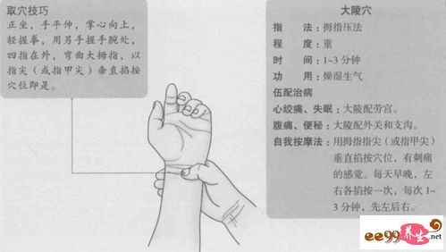 九宗门及其意义