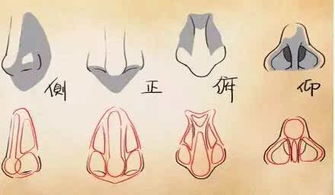 三、 财运与命运的作用于