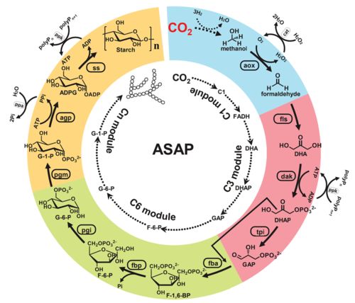 如何确定风水日课格局中的风水十大基本点？