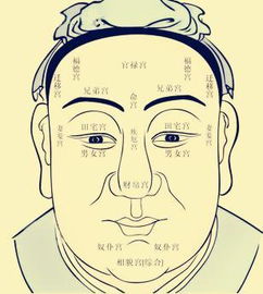 算命面相中贱字面意思指什么？算命时如何识别小人面相特征？
