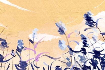 （一）男性视角下的慎选原则