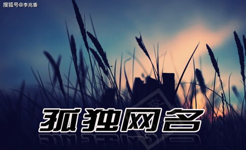 在这个喧嚣的世界里寻找角落：为何我们需要一个悲凉的微信名