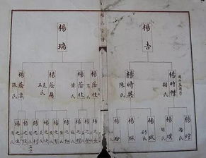 杨家族风水和杨家风水传人，哪个更正宗？