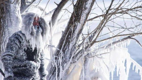 1972年出生的人属什么生肖，为何说寒风刺骨的生肖是这个？