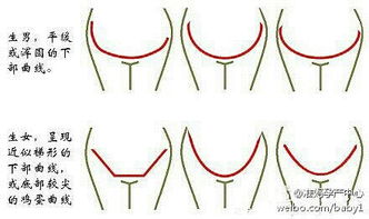 怀孕梦见摘番茄预示宝宝性别是男是女？