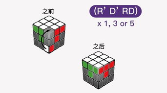 1.1 角块与棱块的位置约束