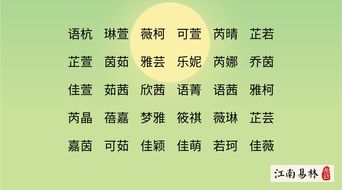 第二章：反向思维怎么用在“杜”姓上？