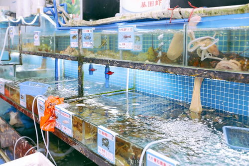 在这里实现海鲜自由啦？（并不！）