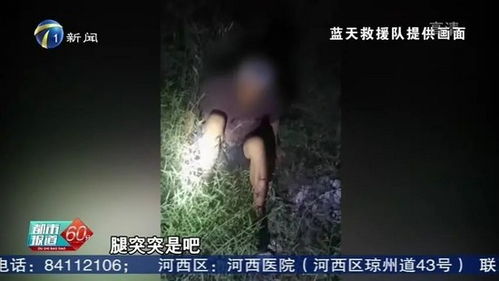 1. 子时与十二生肖对应分析