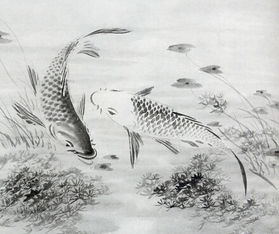 雄鹰展翅图背后的隐患：看似吉祥实则不宜