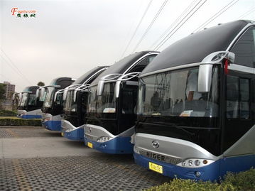 给一些忒别的建议(听不听由你)