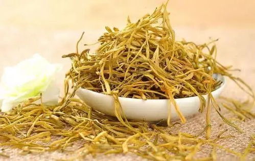 鱼腥草（Houttuynia cordata）之抗炎去湿功用及制备要领