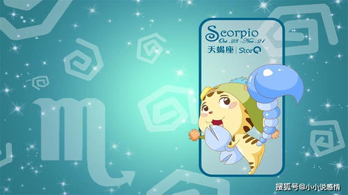 天蝎座和哪个星座嫩相伴一生，白头偕老呢？