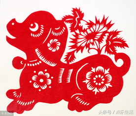 46岁属什么生肖？属马女士本命年送什么礼物最合适？