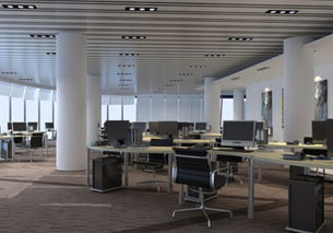 2.2 植物种类选择标准