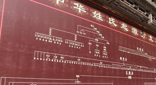 三、 早期最具代表性的四较大原始姓