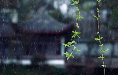 1、  阴阳平衡与万物生长的哲学隐喻