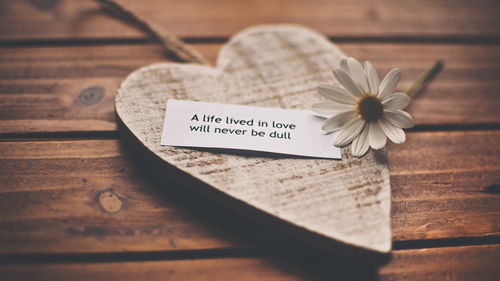 最会求爱的星男？看看谁最会撩！