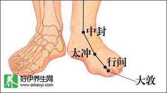 五、 经络按摩与穴位刺激：促进微循环的传统技术